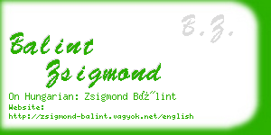 balint zsigmond business card